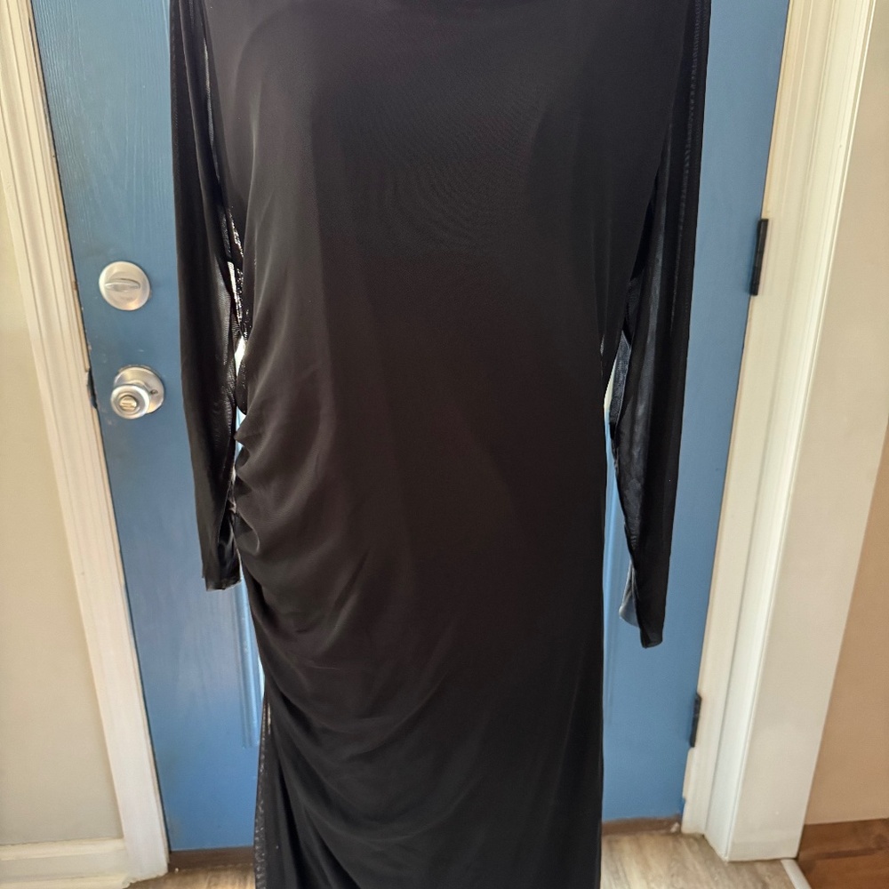 Colleen Lopez Mesh Dress